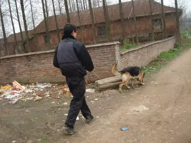 篮球力量训练计划表图片_0