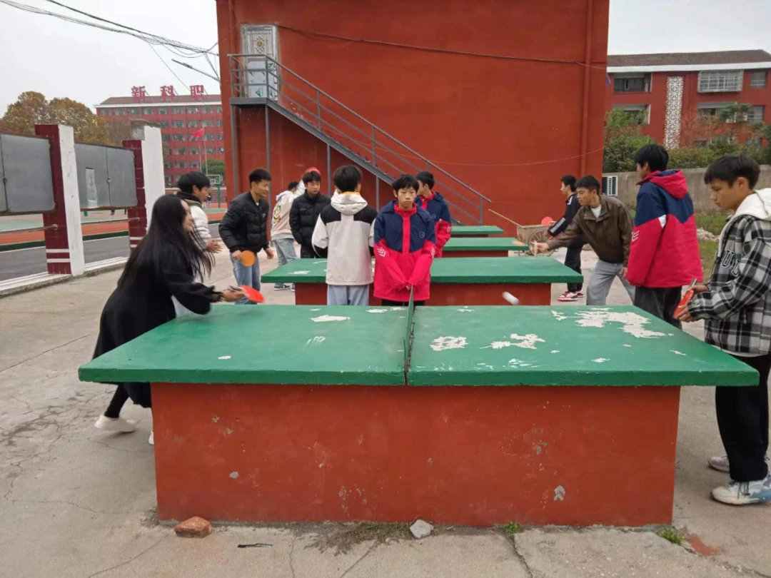适合不同年龄段篮球爱好者的体能训练方案_2