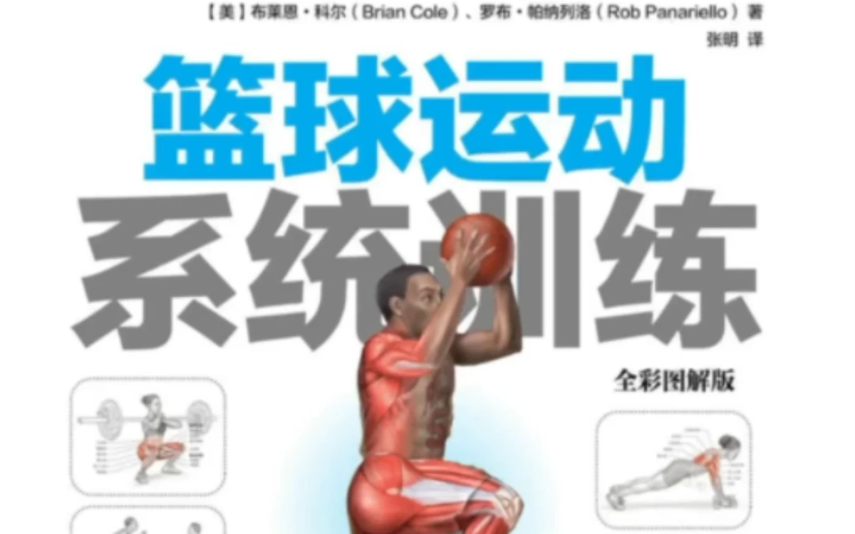 篮球系统训练方法有哪些